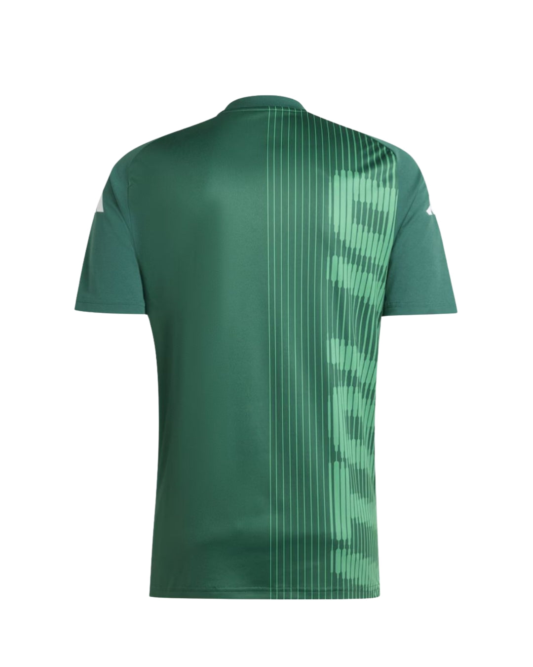 Maglia Pre 24/25